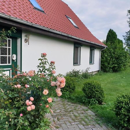 Oeko-Ferienhaus Rappin Екстериор снимка