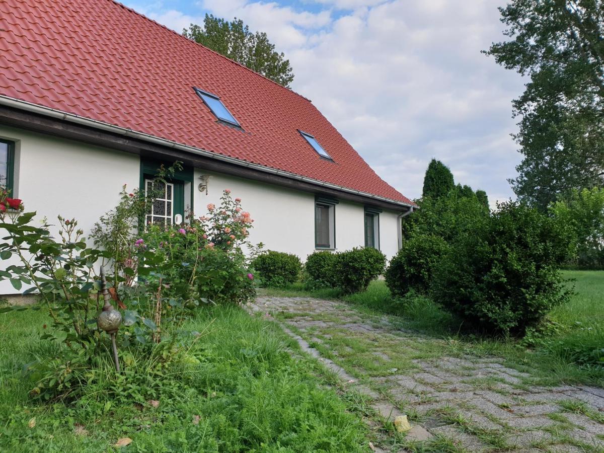 Oeko-Ferienhaus Rappin Екстериор снимка